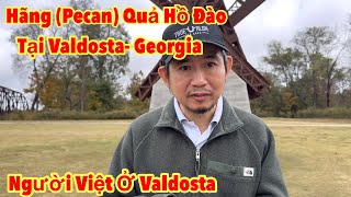 Đến Hãng Đậu Pecanở Valdosta-Georgia,Vì Sao Người Việt Lại Chọn Về Đây