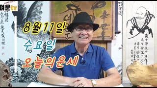 2021년 8월11일 수요일 하루빠른 오늘의운세 띠별운세 조금 선선해지는 듯합니다 행복한 하루 보내시기를 바…