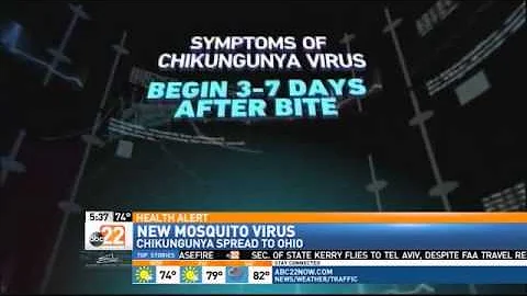 Mosquito Virus Warnings; Chikungunya Cases Spread