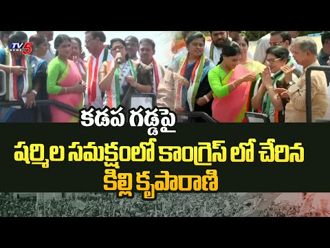 Killi Krupa Rani Joining To Congress With Presence Of YS Sharmila In Kadapa | AP Poltics | TV5 News - TV5NEWS