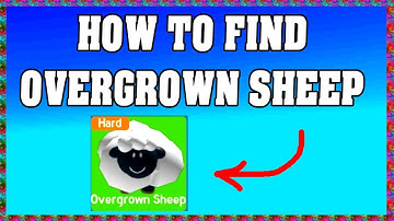 How To Find OVERGROWN SHEEP in FIND THE SHEEP ROBLOX 🐑