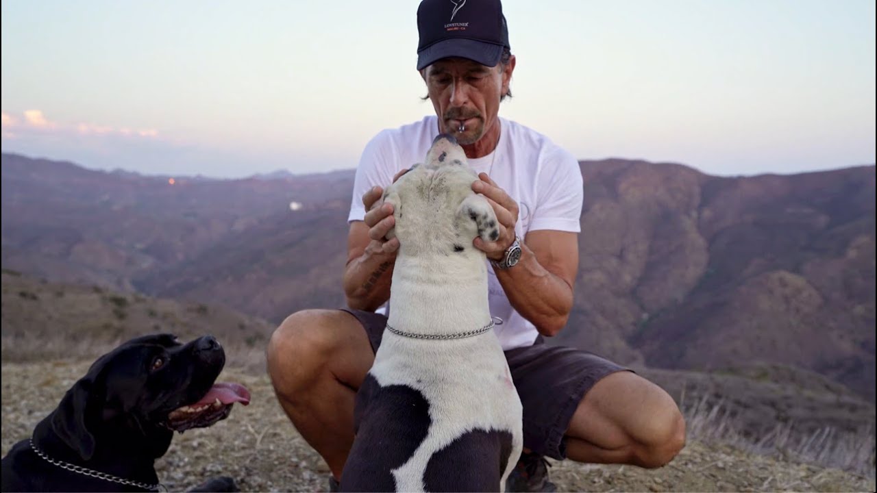 Lovetuner CEO & Founder Sigmar Berg - Dog walk - Tune In