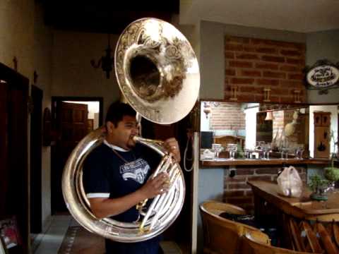 TOCANDO LA TUBA - TECATEANDO -CANO DE APODERADOS DE LA SIERRA