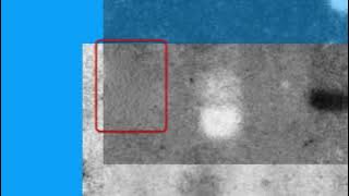 D81B312C8662FF7533A0F558E232E3#1