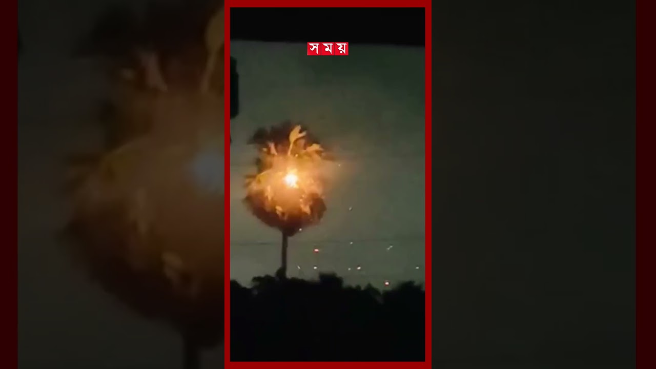 ব্রাহ্মণবাড়িয়ায় তালগাছে বজ্রপাতে আগুন | Thunder | Palm Tree | Brahmanbaria | Somoy TV