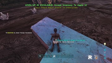 Ark Foundation support official(222)!!!