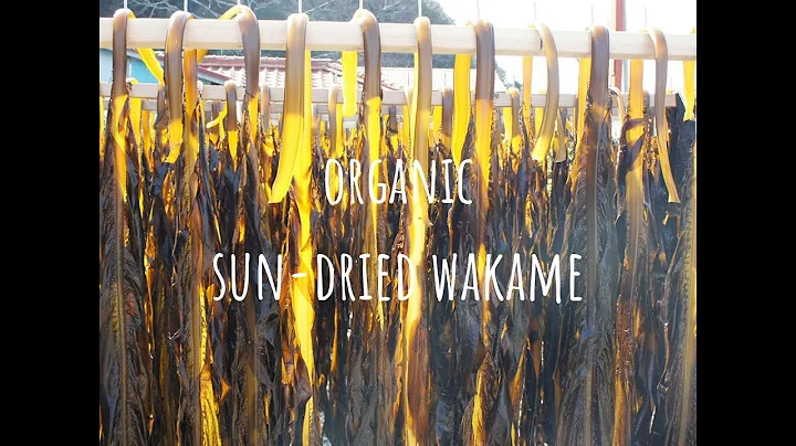 How our organic sundried wakame is produced