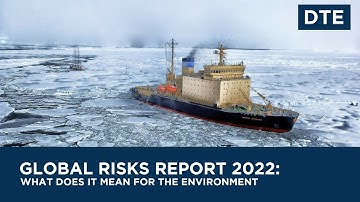 Global Risks Report 2022: What does it mean for the environment.