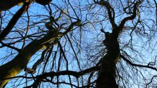 Download Lagu Baba Jaga karaoke MP3