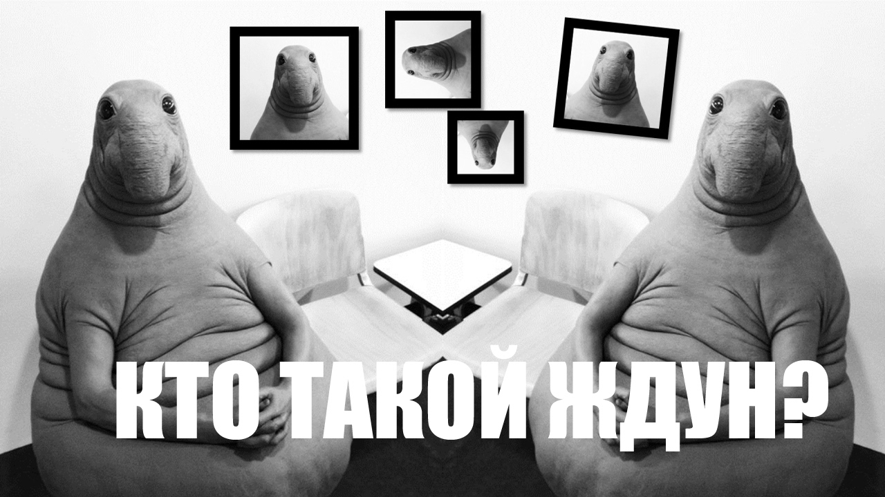 Кто такой Ждун Кто такой Ждун