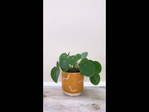 How To Make Your Own Plant Pot