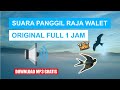 Suara Panggil Raja Walet Original Full 1 Jam