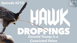 HawkDroppings Episode 22 - Donald Trump is a Convicted Felon