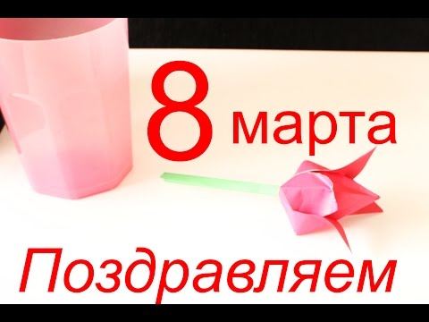 Даня поздравляет всех женщин с 8 марта! С праздником весны!