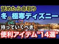 [解説]2024.12月以降冬ディズニー行く方向け舐めたら終わる...忘れたら困る必需品14選！