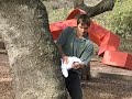 How To Open a Wine Bottle Without a Corkscrew.  Use a Tree!