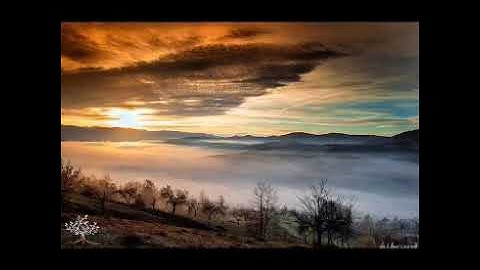 سورة النبأ.. عمر الدريويز حفظه الله