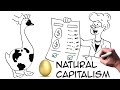 Natural Capitalism: definition & examples