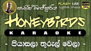 Piyasala Thurulwela Adare Karaoke (Without Voice) පියාසලා තුරුල්වෙලා ආදරේ කැරෝකේ