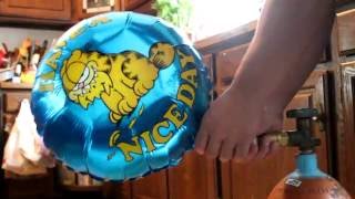 Vintage Garfield Have A Nice Day Mylar Balloon Inflation 1K Subs