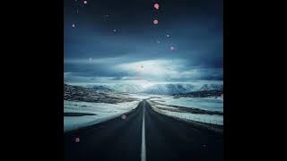 Elettra Lamborghini A Mezzanotte @zakarpat_myz_oficial