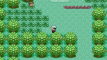 How to use cheats in emerald with gameshark Vba