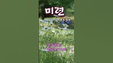 Thumbnail of 미련 -  장현