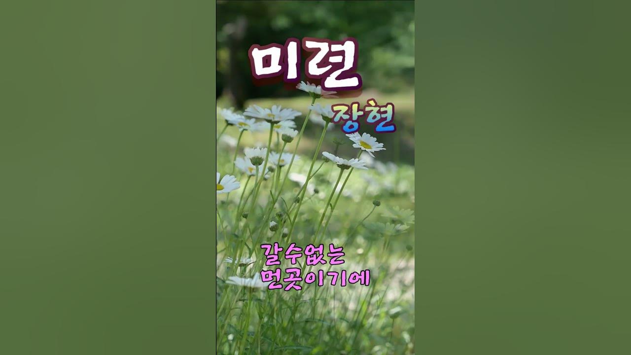 미련 - 장현 미련 - 장현