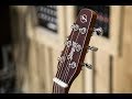 Електроакустична гітара Seagull Entourage Autumn Burst