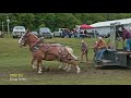 2021 Lisle,NY Heavyweight horse pull