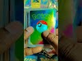please support 🙏🥺 #cards #pokemon #pokemoncards #pokemongo #pokémon #pokemonunite #reels #shorts