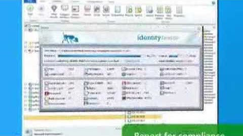 Identity Finder Sensitive Data Manager