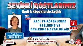 Sevimli Dostlarımız 2 Kedi ve Köpeklerde Beslenme ve Beslenme Hastalıkları Prof. Dr. Gülay Deniz