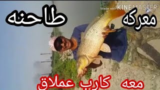صيد الكارب بلسناره في العراق