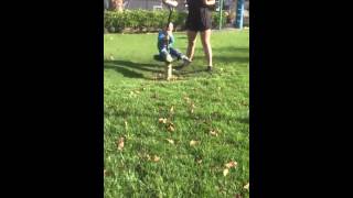 Adorable Baby gets dizzy