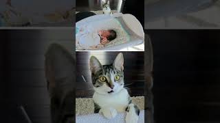 Rare photos  you've never seenbefore🐀😱😍#rarephotos #photo #photomagic#picture #fyp #photopic ‎