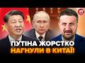 😳ЗАГОРОДНІЙ: Сі КИНУВ Путіна в Китаї: диктатор НЕ ОЧІКУВАВ такої ЗУСТРІЧІ. Кремль БʼЄ ТРИВОГУ