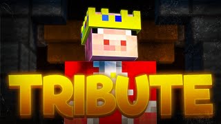 Tribute To Minecraft Youtuber Technoblade - Believer