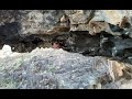 Dani Andrada en EL TECHO DEL GUANCHE 8B Tenerife