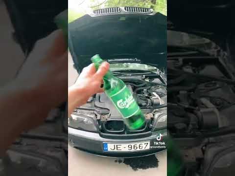 Саншайн логан прогноз