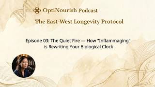 03-The Quiet Fire: How "Inflammaging" is Rewriting Your Biological Clock