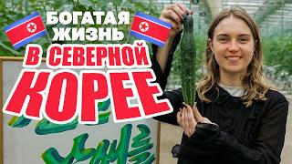 картинка: Богатая жизнь в Северной Корее изнутри