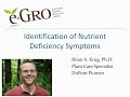 Identfication of Nutrient Deficiencies (Greenhouse Plants)