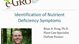 Identfication of Nutrient Deficiencies (Greenhouse Plants)