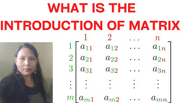 WHAT IS THE INTRODUCTION OF MATRIX? CLASS BY @REEMA