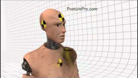 Posture Pro Posture Analysis Software