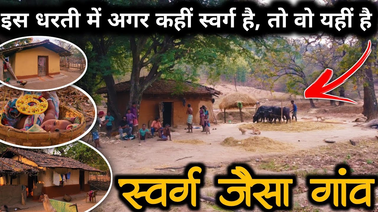 गांव देखकर मन शांत हो जायेगा, कुछ समय के लिए सारे दुख भूल जाओगे // बारसेरास सुकमा बस्तर छत्तीसगढ़