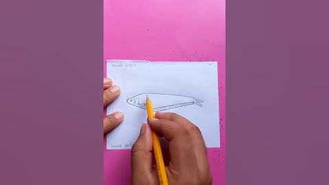 pabdah catfish | পাবদা মাছ | original audio tutorials #satisfying #creativeart #drawingforbeginners