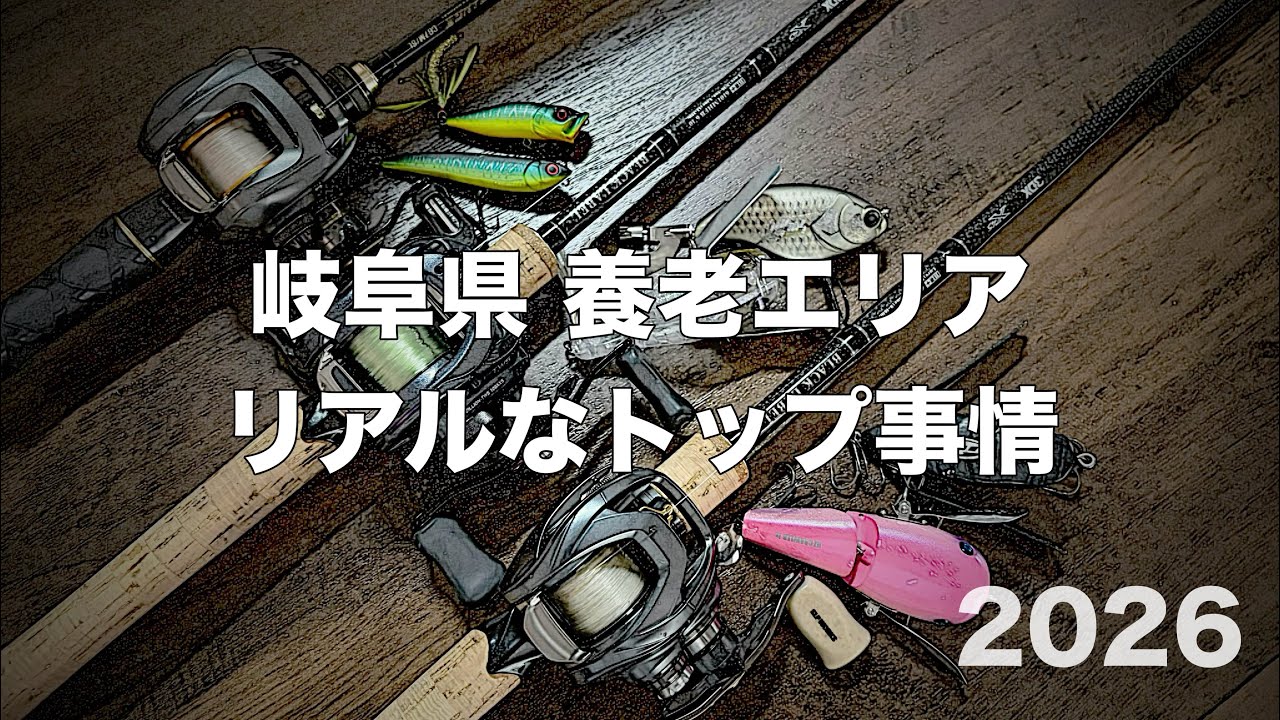 ドキュメント/岐阜県 養老エリアのトップ事情2026