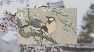 Pieces of Beauty Puzzle ASMR-Birds screenshot 5